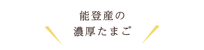 能登産の濃厚たまご